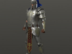 special knight Modelo 3D