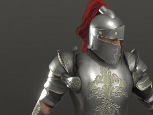special knight Modelo 3D