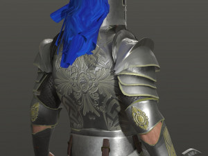 special knight Modelo 3D