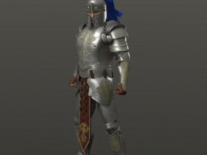 special knight Modelo 3D