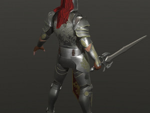 special knight Modelo 3D
