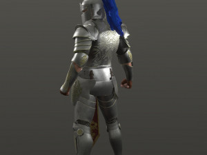 special knight Modelo 3D