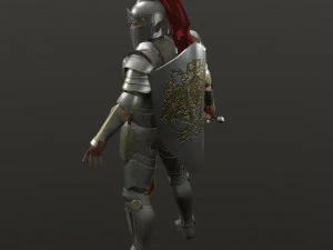 special knight 3D Model