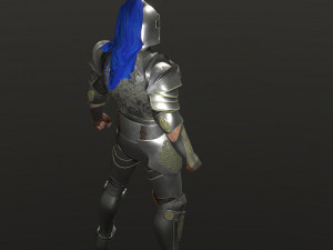special knight Modelo 3D
