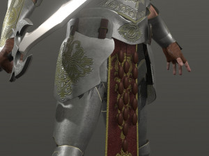 special knight Modelo 3D