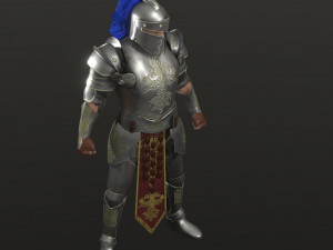 special knight Modelo 3D