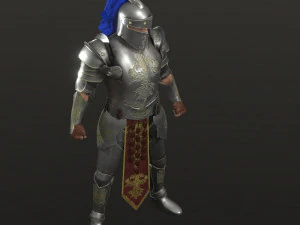 special knight 3D Model