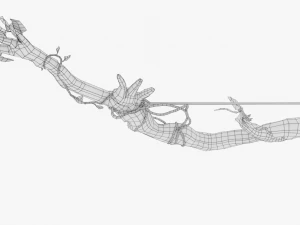 forest bow 3D Model