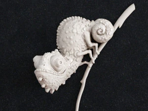 Chameleon 3D Print Model