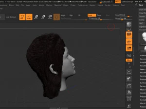 women face 3D Model