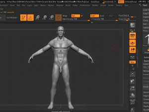 인체 해부학 3D 모델