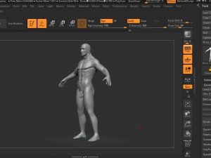 human antomy Modelo 3D