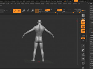 human antomy Modelo 3D
