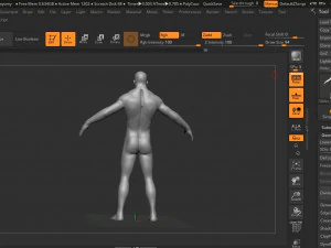 anatomia humana Modelo 3D