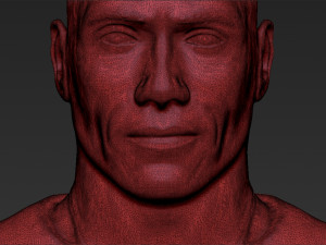 dwayne the rock johnson fast and furious 3d printing ready stl obj 3D Print Model