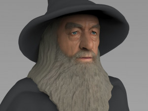 gandalf the lord of the rings hobbit full color 3d printing 3D 프린트 모델