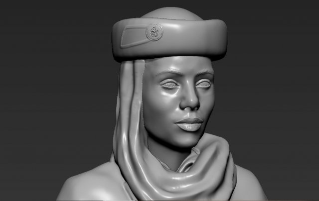 emirates airline stewardess 3d printing ready stl obj Model Cetak 3D .c4d .max .obj .3ds .fbx .stl .blend 