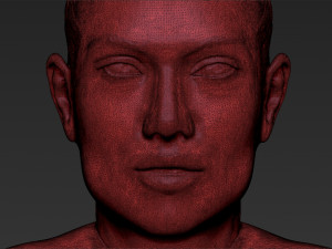 jennifer lopez 3d printing ready stl obj 3D प्रिंट मॉडल
