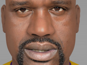 shaq oneal bust ready for full color 3d printing 3D प्रिंट मॉडल