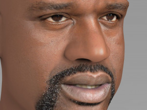 shaq oneal bust ready for full color 3d printing 3D प्रिंट मॉडल