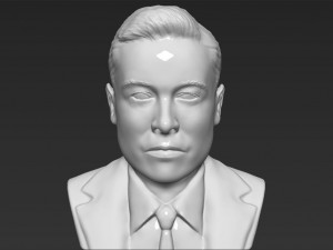 elon musk bust 3d printing ready obj stl Modelo de impresión 3D