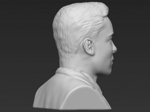 elon musk bust 3d printing ready obj stl Modelo de impresión 3D