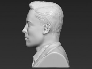 elon musk bust 3d printing ready obj stl Modelo de impresión 3D