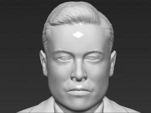 elon musk bust 3d printing ready obj stl Modelo de impresión 3D