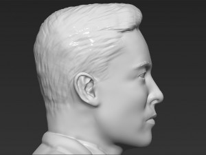 elon musk bust 3d printing ready obj stl Modelo de impresión 3D