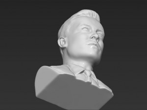 elon musk bust 3d printing ready obj stl Modelo de impresión 3D