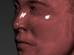 elon musk bust 3d printing ready obj stl Modelo de impresión 3D