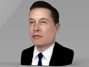 elon musk bust ready for full color 3d printing 3D Принт Модель