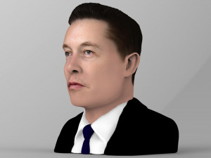 elon musk bust ready for full color 3d printing 3D Принт Модель