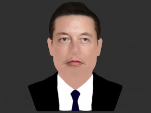 elon musk bust ready for full color 3d printing 3D Принт Модель