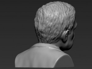 stephen hawking 3d printing ready stl obj 3D-printmodel