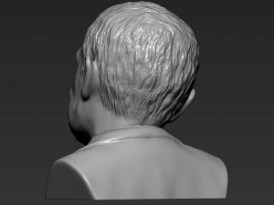 stephen hawking 3d printing ready stl obj 3D-printmodel