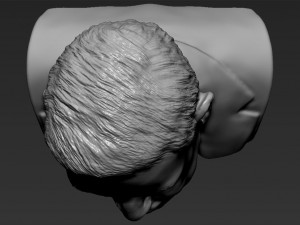 stephen hawking 3d printing ready stl obj 3D-printmodel