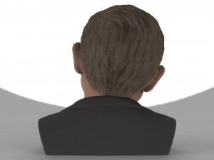 stephen hawking bust ready for full color 3d printing Modelo de Impressão 3D