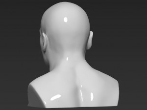 mike tyson bust 3d printing ready stl obj 3Dプリントモデル