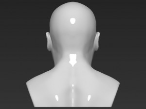 mike tyson bust 3d printing ready stl obj 3Dプリントモデル