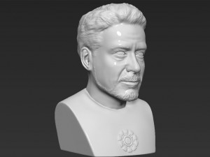 tony stark robert downey jr iron man bust ready for 3d printing Modelo de Impressão 3D