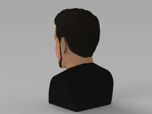 tony stark downey jr iron man bust full color 3d printing ready Modelo de Impressão 3D