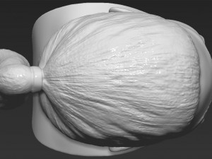 oprah winfrey bust 3d printing ready stl obj 3D-Druckmodell