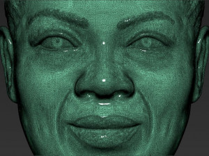 oprah winfrey bust 3d printing ready stl obj 3D-Druckmodell