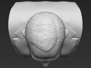 vladimir putin bust ready for full color 3d printing 3D-printmodel