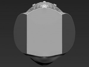 gimli lord of the rings bust 3d printing ready stl obj 3D 打印模型