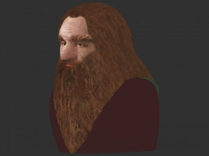 gimli lord of the rings bust full color 3d printing ready 3Dプリントモデル
