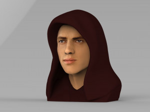 anakin skywalker star wars bust ready for full color 3d printing 3Dプリントモデル