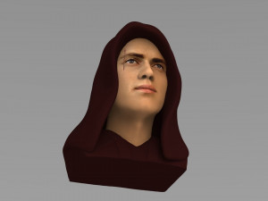 anakin skywalker star wars bust ready for full color 3d printing 3Dプリントモデル