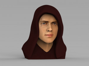 anakin skywalker star wars bust ready for full color 3d printing 3Dプリントモデル